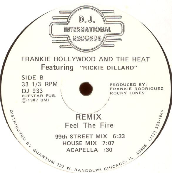 Hollywood And The Heat Featuring Ricky Dillard : Remix Feel The Fire (12")