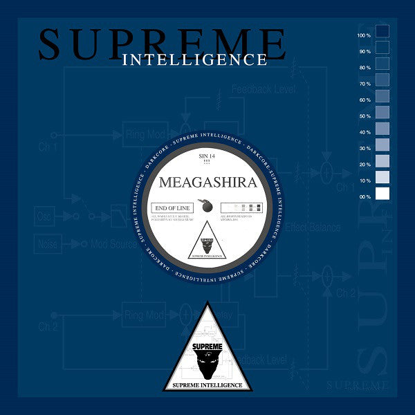 Meagashira : End Of Line / Swarm (12")