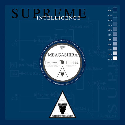 Meagashira : End Of Line / Swarm (12")