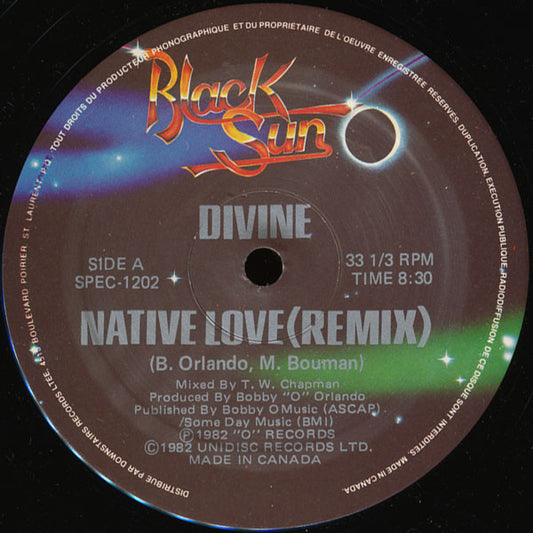 Divine / Shining Star : Native Love (Remix) / The Stranger (12", RE)