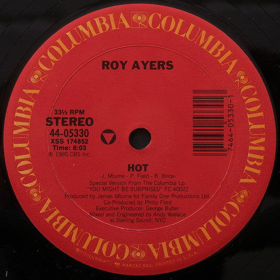 Roy Ayers : Hot (12")