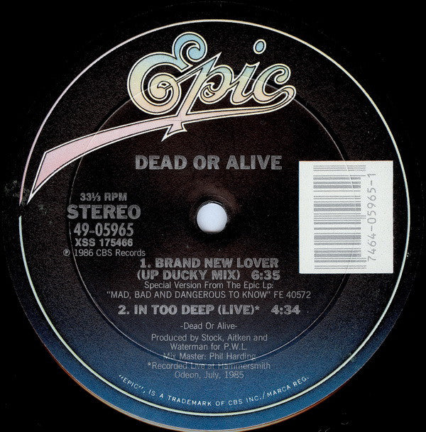 Dead Or Alive : Brand New Lover (12")