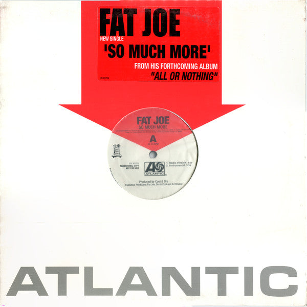 Fat Joe : So Much More (12", Single, Promo)