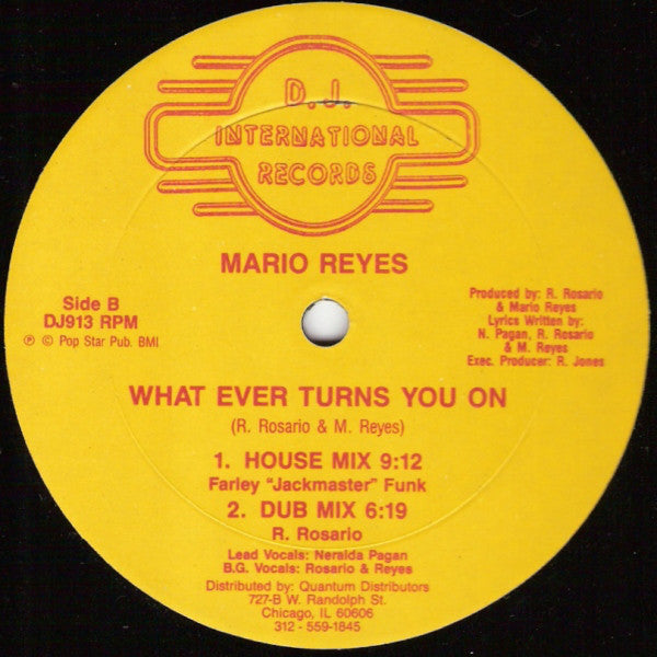 Mario Reyes : What Ever Turns You On (12")