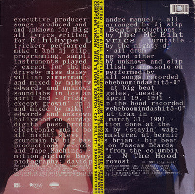 Comptons Most Wanted* : Straight Checkn 'Em (LP, Album)