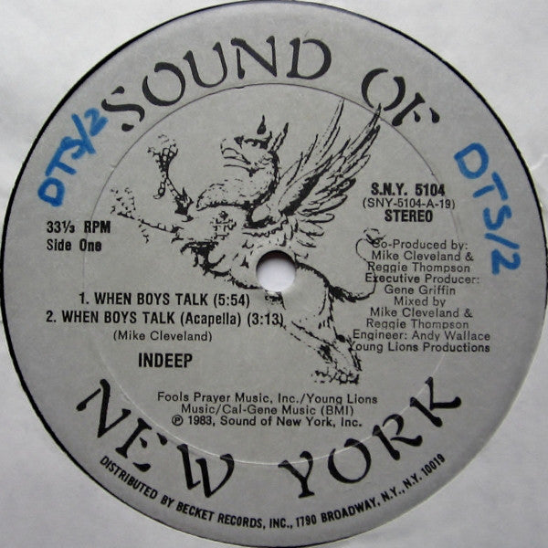 Indeep : When Boys Talk (12")