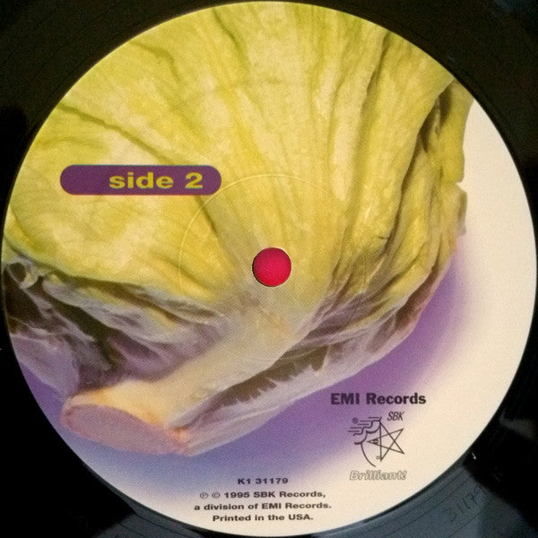 Various : Brilliant! The Global House Music Experience Volume 5 (2xLP, Comp)