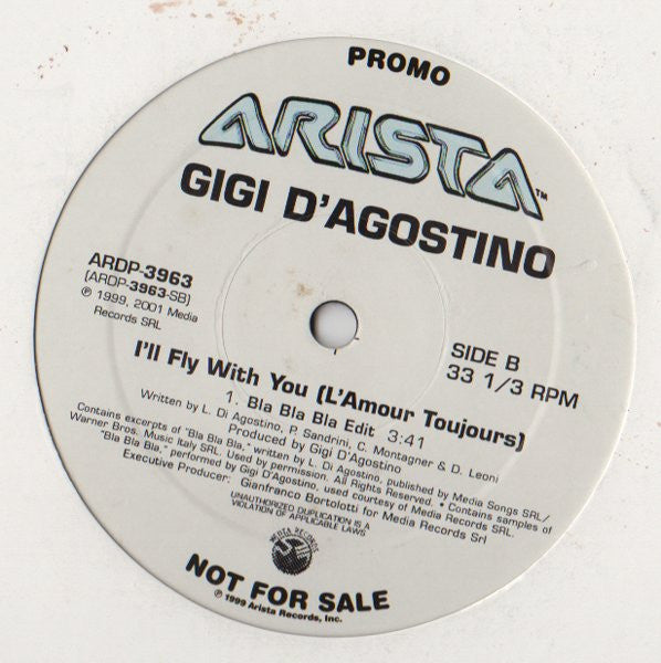 Gigi D'Agostino : The Riddle (12", Promo)