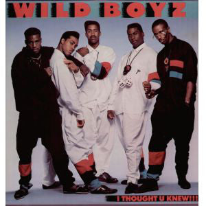 The Wild Boyz : I Thought U Knew!!!! (12")