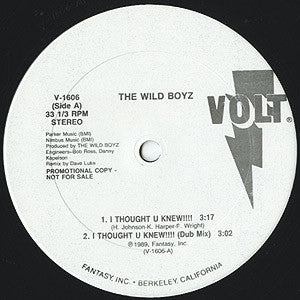 The Wild Boyz : I Thought U Knew!!!! (12")