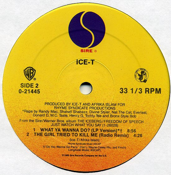 Ice-T : What Ya Wanna Do? (12", Maxi)